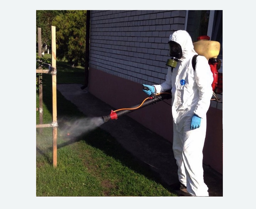 травля клещей на участке в Печатниках города Москвы