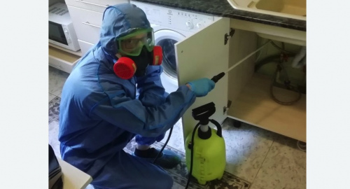 Уничтожение муравьев в квартире. Печатники 