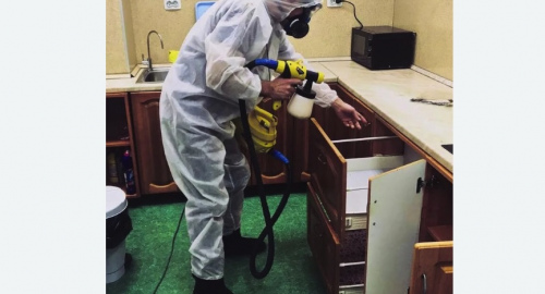 Уничтожение насекомых в квартире. Печатники 