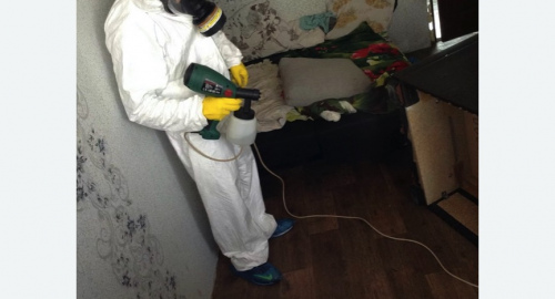 Обработка квартир от насекомых в Печатниках города Москвы