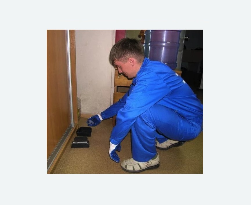 Дератизация крыс в Печатниках города Москвы