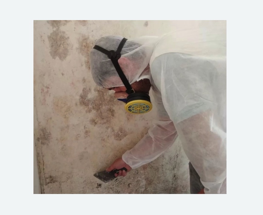 Обработка стен от плесени в Печатниках города Москвы