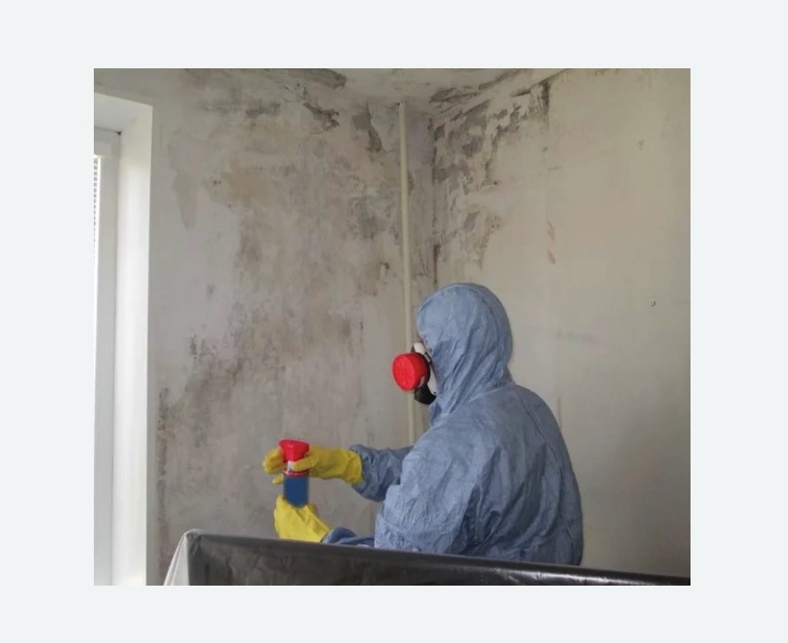 Удаление плесени в квартире в Печатниках города Москвы