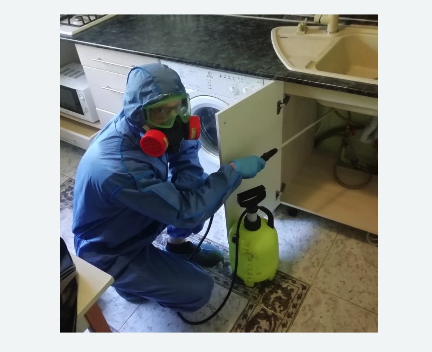 обработка от муравьев в квартире в Печатниках города Москвы