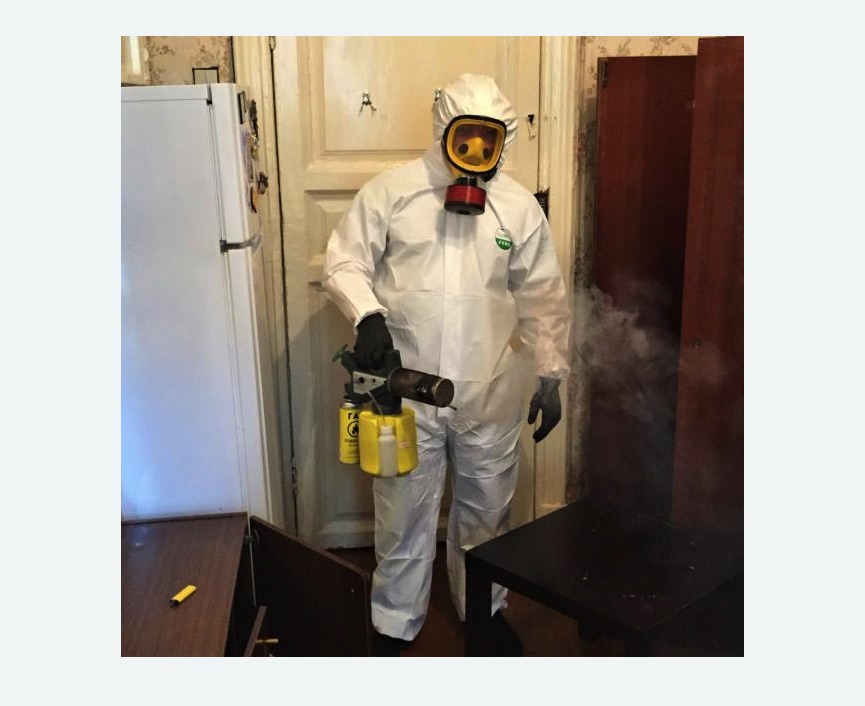 уничтожение муравьев в квартире в Печатниках города Москвы